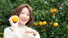 伊東市「温州みかん」と女性