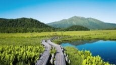 尾瀬国立公園の風景