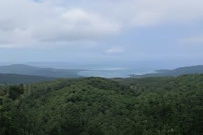 山から海を望む（西表島のテドウ山）