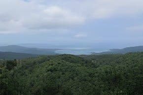 山から海を望む（西表島のテドウ山）