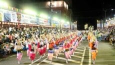 鳴門市阿波おどりの演舞