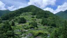 落合集落展望所からの風景