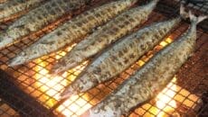 根室産さんま炭火焼