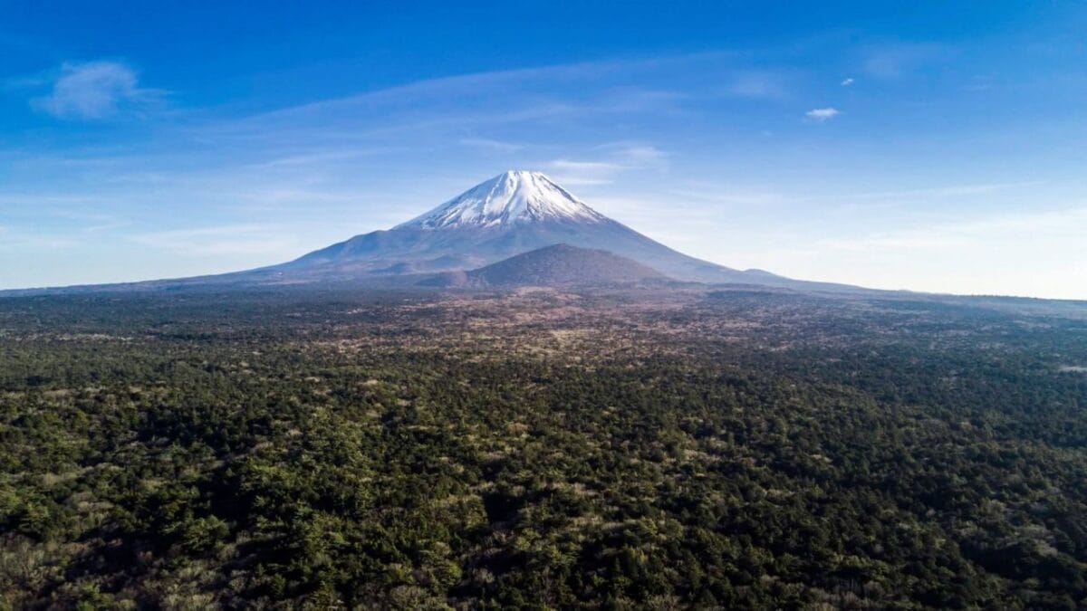 富士山と青木ヶ原樹海