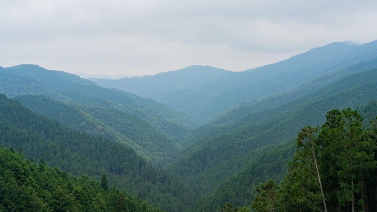 護摩壇山の山並み